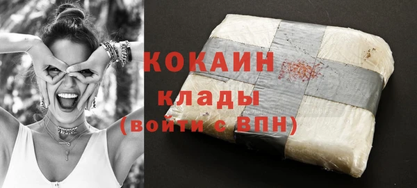 прущий лед Пересвет