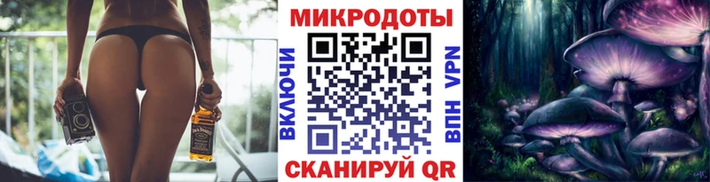 магазин продажи наркотиков  Питкяранта  Псилоцибиновые грибы мухоморы 