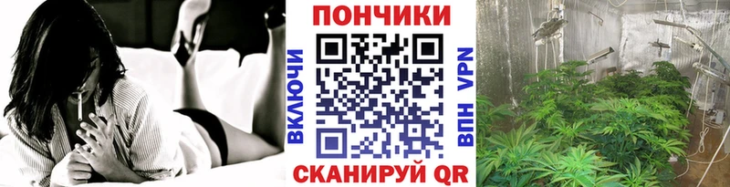 Конопля SATIVA & INDICA  Питкяранта 